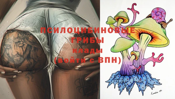 молекула духа Вязьма