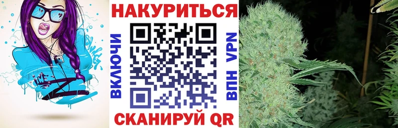 Купить где  Кострома  Бошки марихуана семена 